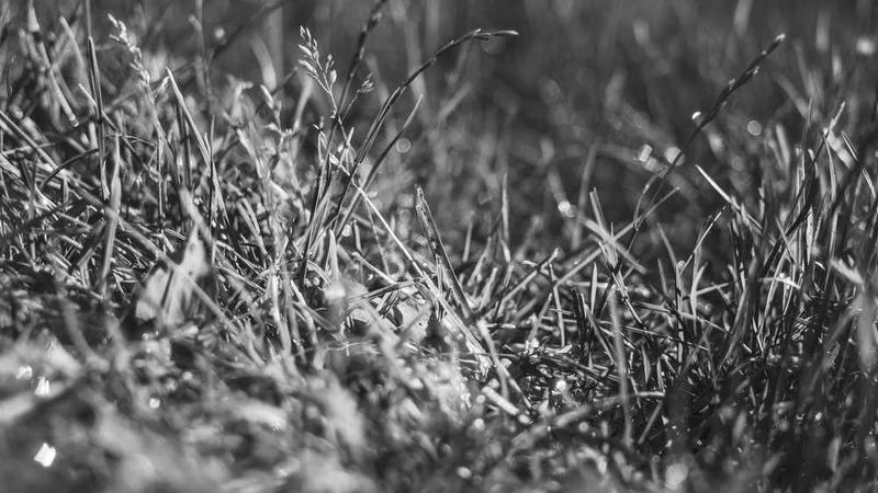 【QT开发笔记-基础篇】| 第五章 事件 | 5.1 效果演示、技术点