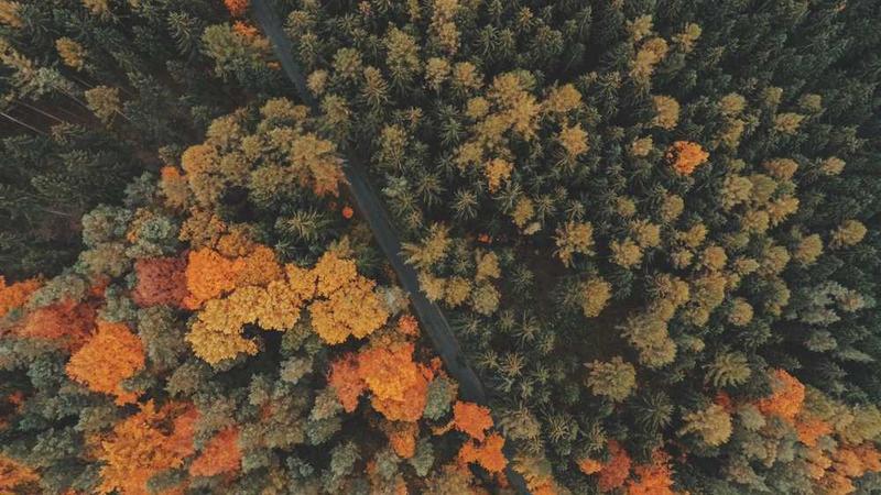 cover of previous post